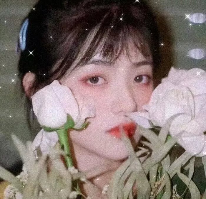 薰衣草和夏天