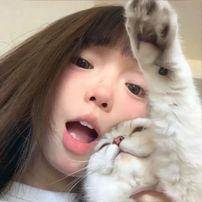 机器战犬